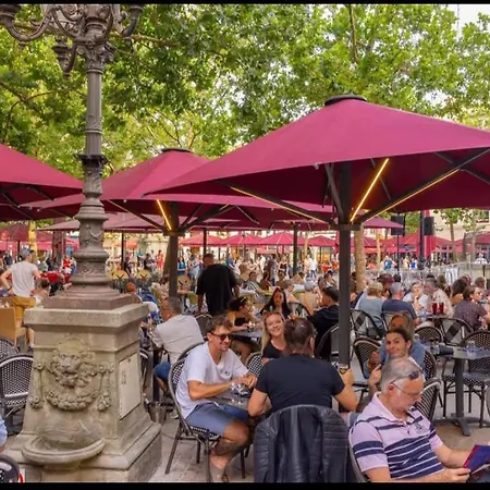 Cozy In * Carcassonne